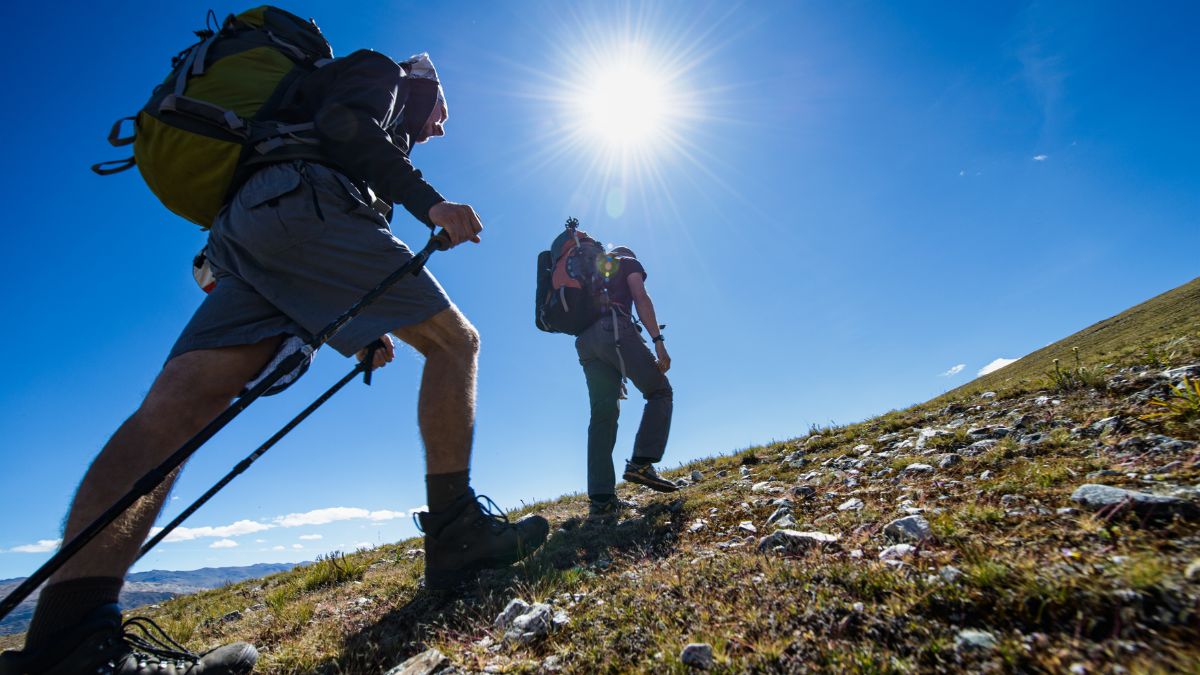 Kije trekkingowe Viking Kalio 
